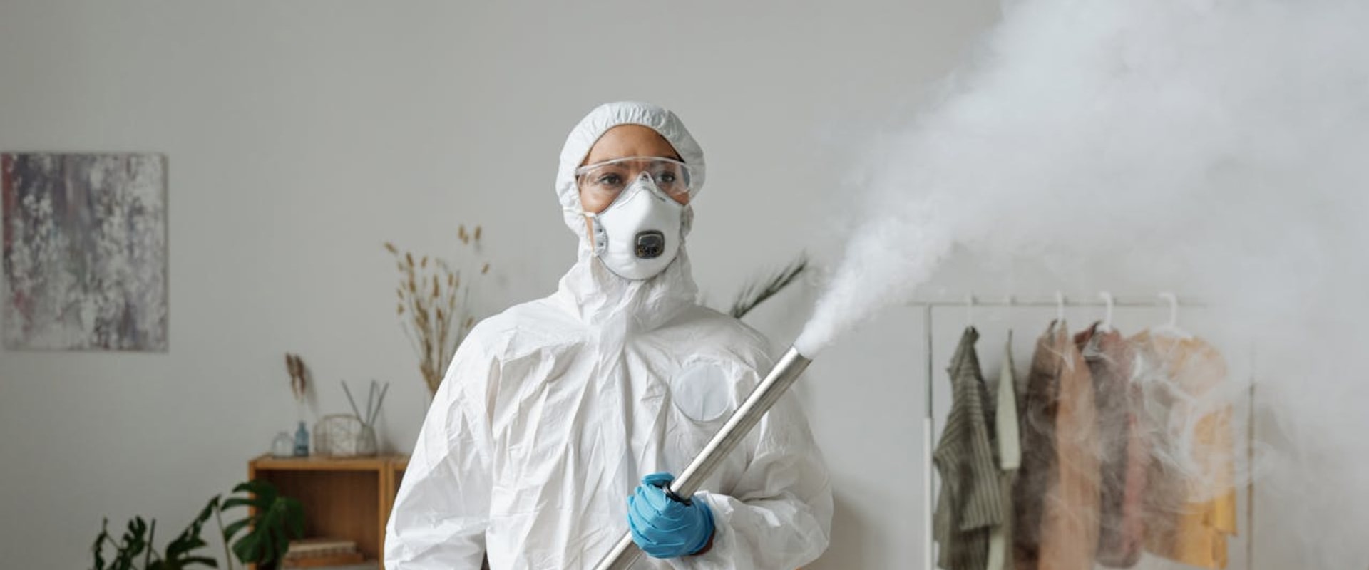 Why You Need A Pest Control Expert For Effective Home Pest Defense And Inspection Services In Las Vegas?